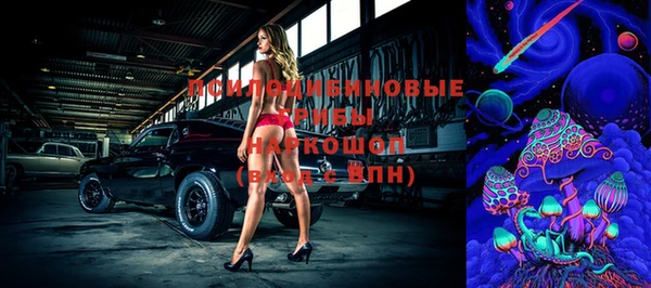 прущая мука Вяземский