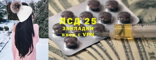прущая мука Вяземский