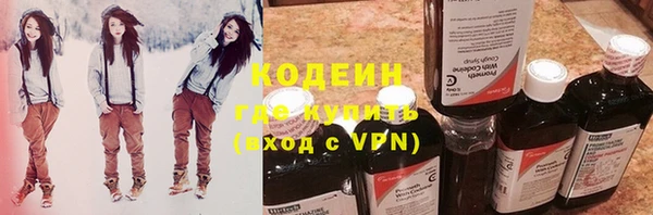 прущая мука Вяземский