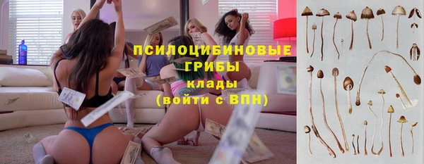 тгк Горнозаводск